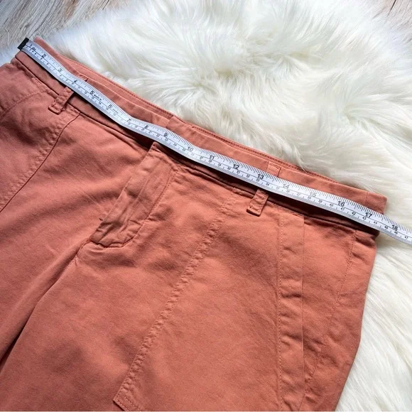 NEW Frank & Eileen BLACK-ROCK Utility Pant Sz 10 ITALIAN PEACHED TWILL Pumpkin - Picture 10 of 16